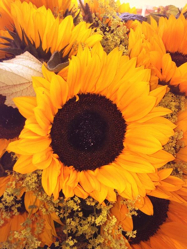 gioperks's tweet image. "@mileycyrus: Flowers from my mommy. Just to wish me a nice day ❤ http://t.co/A3UZSiSxJa" that was nice of her #apopofcolor