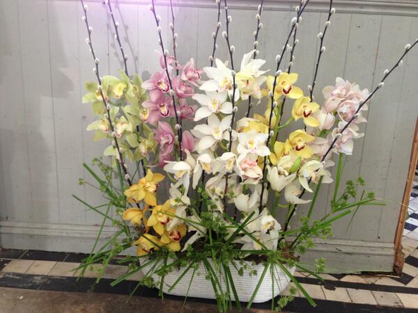 Beautiful orchid display ordered by one of customers in Australia.