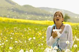 Breakingsnews's tweet photo. Best Ways To Deal with Seasonal Allergies - http://t.co/T6YxNhLitv http://t.co/4HMmlvMLwr