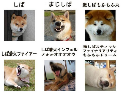 warattenanbot's tweet photo. しば→まじしば→‥ http://t.co/5vKbSB8Uqz
