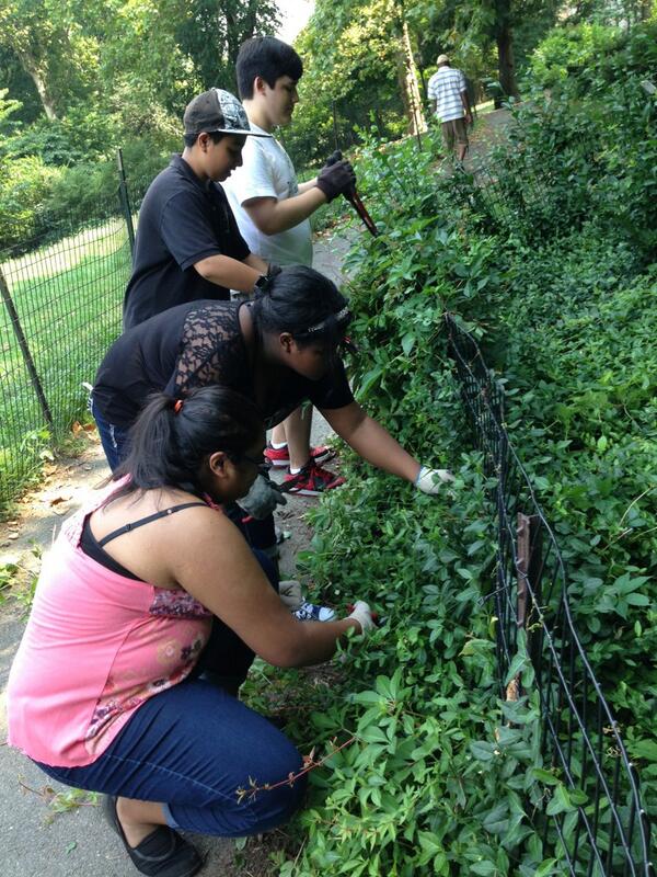 Han_Perr's tweet photo. Just doing some #pruning in #riversidepark! What a nice way to spend a VERY hot Friday morning! @newyorkcares http://t.co/V5uUpDBuTB