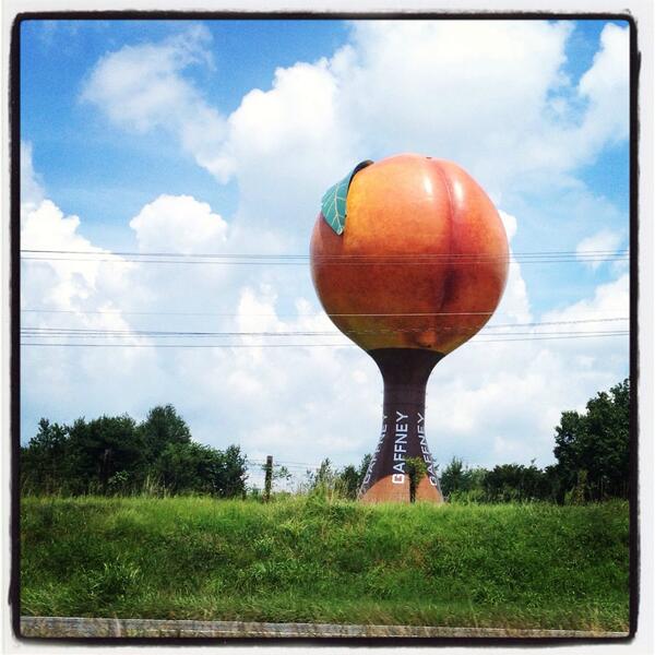 AJGators613's tweet photo. Roadtrip thru SCarolina. Passed Clemson, Greenville &amp; the Gaffney peach butt! wishing I was going to #HomerIdol! http://t.co/6Xqm6pgVd8
