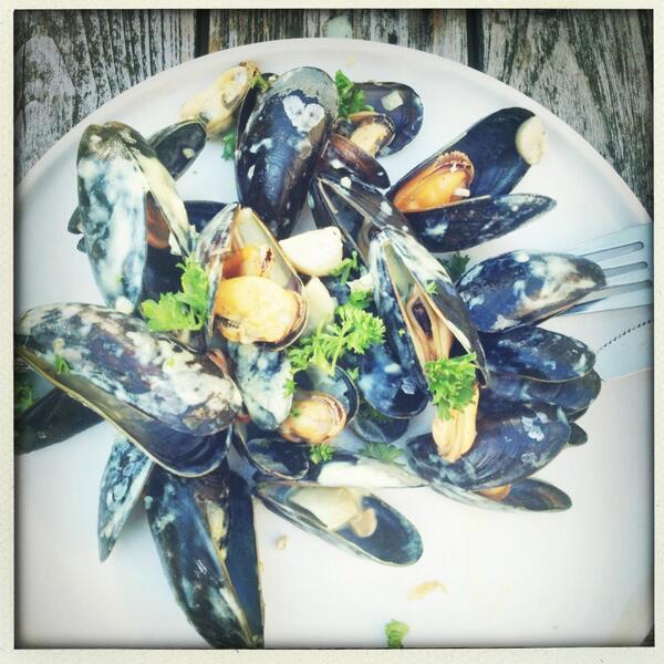 Lingerak's tweet photo. Mmmmmm! Vanavond verse mosselen op het menu genieten! http://t.co/7cXZWjp8rZ