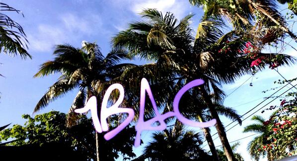 1BACFlorida's tweet photo. Our Promise: To donate $1 USD, from every 1BAC decal sold, to @FLBreastCancer http://t.co/EQJ3kVZpvi