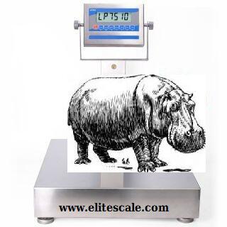 elitescales's tweet photo. Scales for Just about Anything You'd Need to Weigh
http://t.co/6BPc5BuTxQ  http://t.co/Ic7XSRyNL6