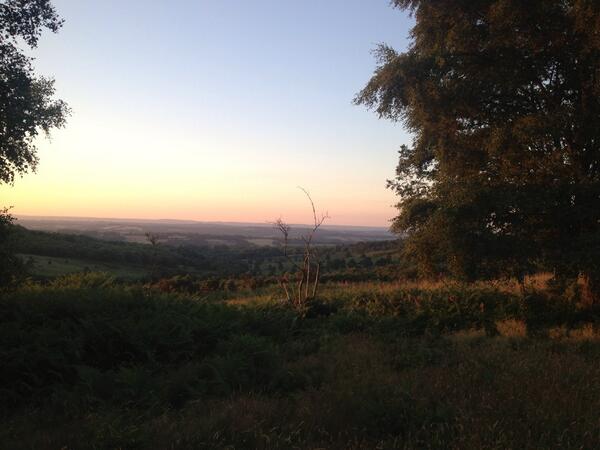 Beautiful day today, I have had butterflies and rainbows and now a lovely evening walk. #babyloss #findingpeace