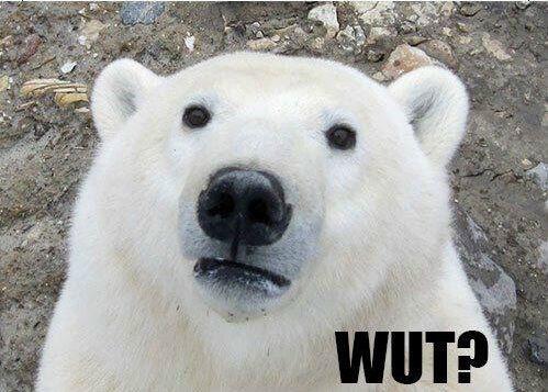 FearPhobos's tweet image. My mother making love with death