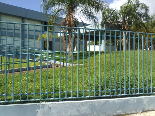 GaryAlcalde2016's tweet photo. Esc. Toa Alta Adela Rolon abandonada por esta administracion no cortan ni la grama abandono total @notiuno @noticel http://t.co/MmL4eGaYyZ