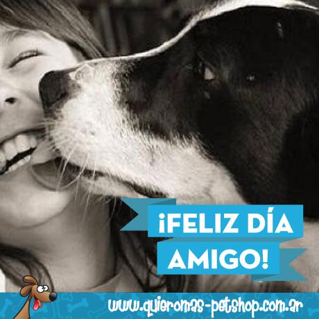amigo pet shop