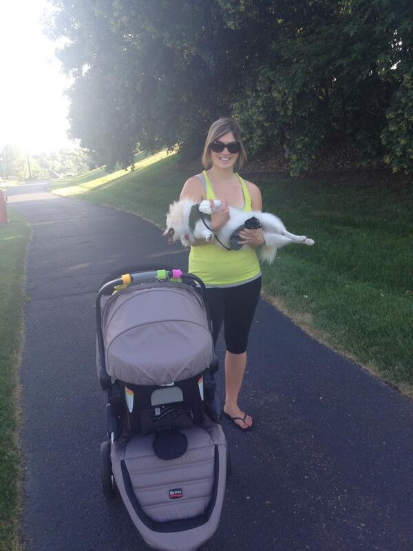 Bloc004's tweet image. It's bad when your dog needs to be carried home!  #wrongbreed #pomproblems