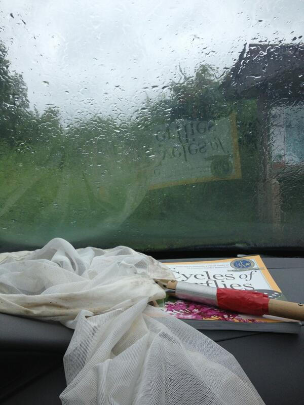 Today's butterfly walk is postponed due to rain. New date coming soon!