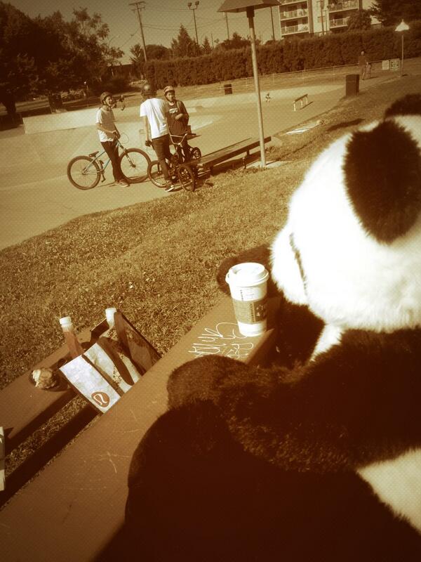 AsbcBrews's tweet image. #Steve chilling @vicwest sk8park #weekenddad #killinchillin