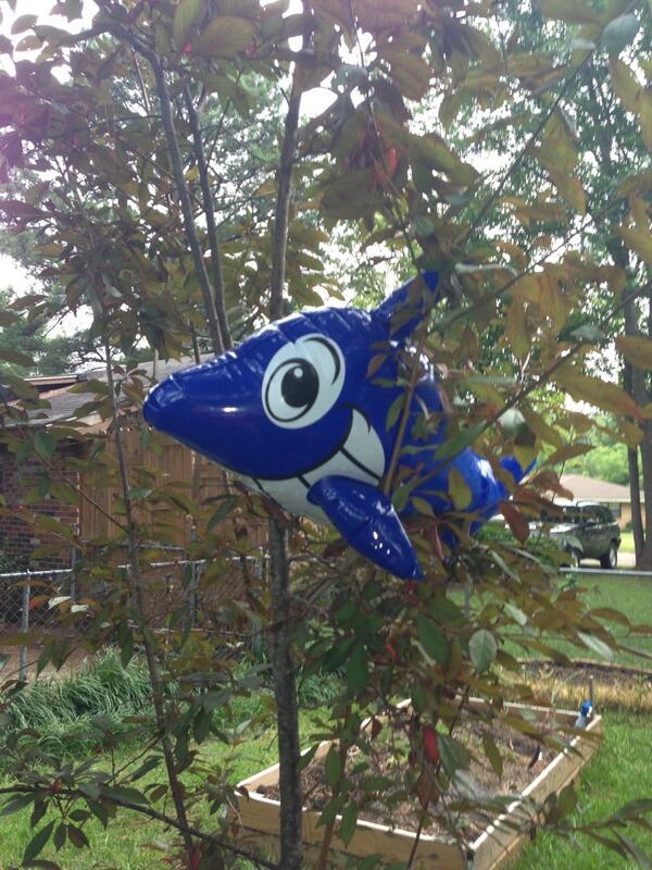 ejsesser's tweet photo. #SharkNado is not my friend http://t.co/LRV6wUrlKR