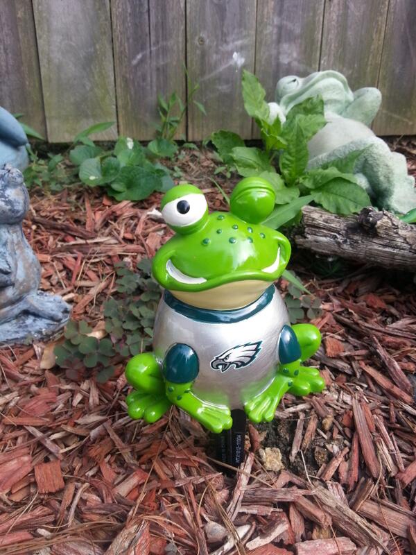 RayB724's tweet photo. This frog knows #eagles going yo win a super bowl in the next 3 years.  I fucking hate the #giants #redskins #cowboys http://t.co/UXM574q6im