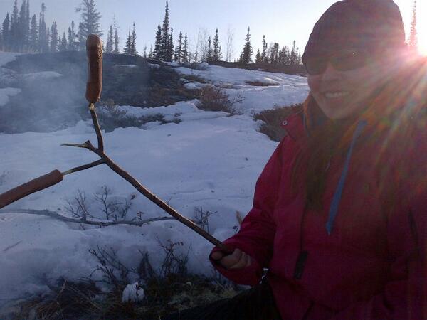 Liselle Cook tweet media