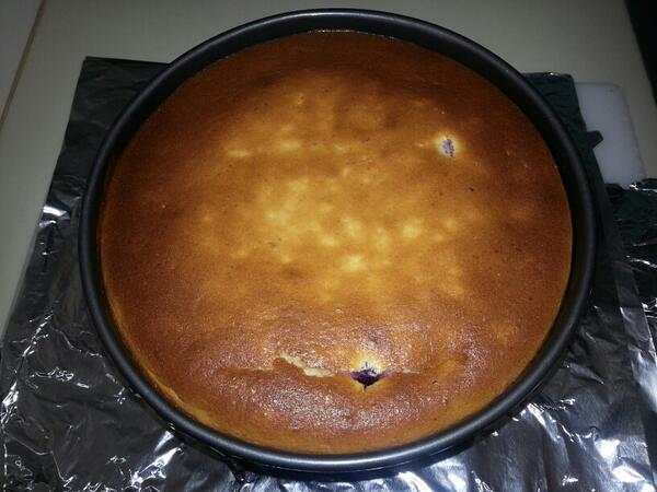SydneysBestFood's tweet photo. Baked blueberry cheesecake fresh out of my oven! #pleasehurryupandcooldown http://t.co/dnh9Hklj1E
