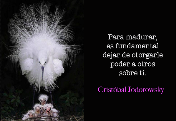 Cristobaljod's tweet photo. Para madurar es fundamental dejar de otorgarle a otros poder sobre tí. http://t.co/COTSdrSY48