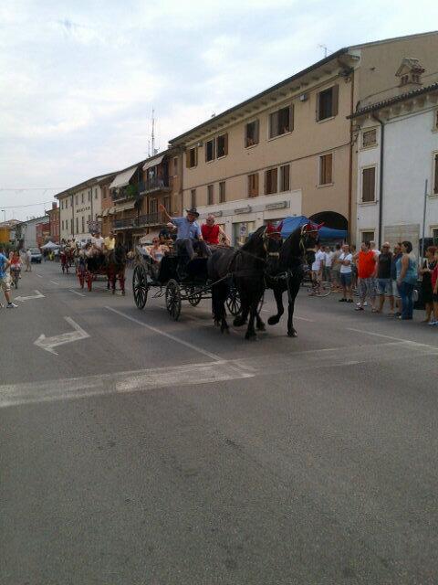 FidasMozzecane's tweet photo. #porteghi2013 #mozzecane #donareilsangue http://t.co/kysk0lZ4tq