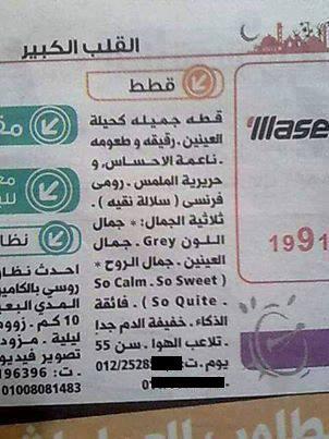 GMagLive's tweet photo. So calm, so sweet, so quite! :D #OnlyinEgypt http://t.co/G1hUGbbJxt