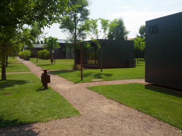 Luca Bettelli tweet media