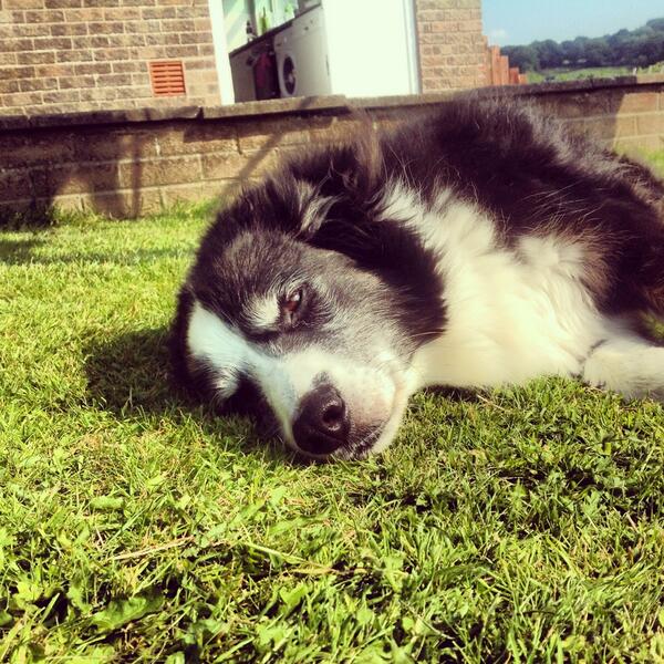 RedStrike™ tweet media