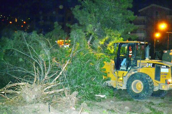 CumhuriyetAnk's tweet photo. Melih Gökçek dün sabaha karşı TOMA desteğiyle 40 yıllık ağaçları katletti..O anlar yarın Cumhuriyet Ankara'da http://t.co/cPTQN54S9z