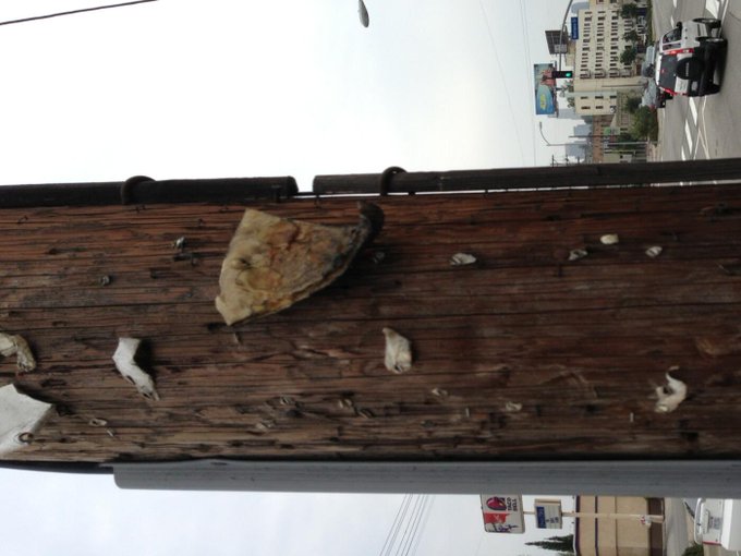 This is what kind of cruel world we live in, teasing the hungry that can't reach. http://t.co/LXX6fg