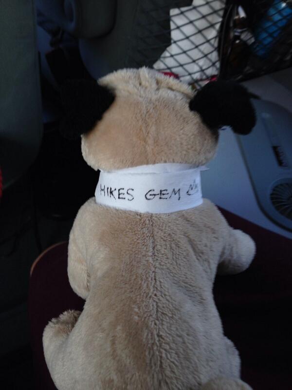 HikesGEM's tweet photo. Pato has been claimed! http://t.co/fprlTJIVkf