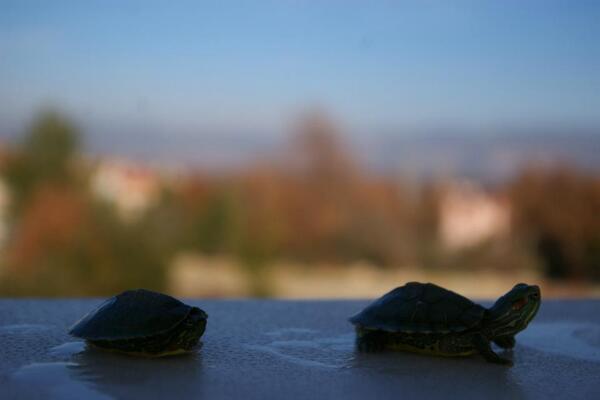 ferhatkcbs's tweet image. 