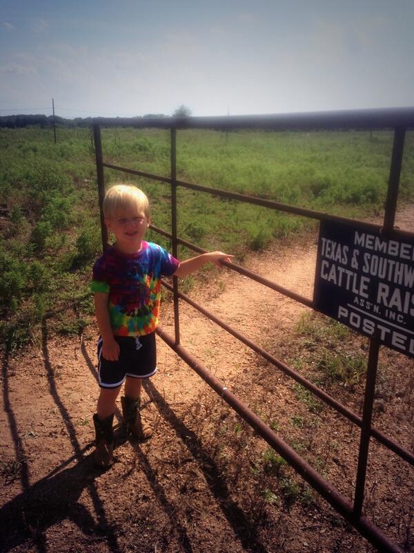 Bbeaverdds's tweet image. Check out my new gate opener!!