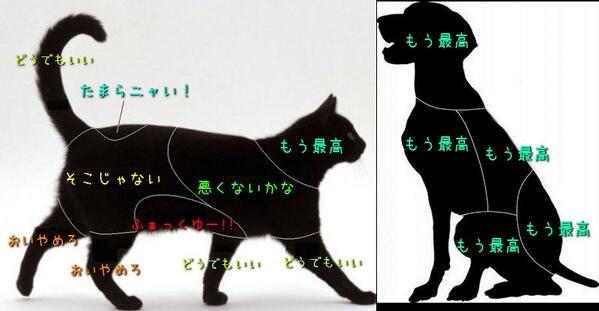 Trinitynyc ワンコはその通りだw Kirikami ひと目でわかる 猫と犬がさわると喜ぶ場所 喜ばない場所 Http T Co Mg6yvn7kez Trinitynyc ワンコはその通りだw Kirikami ひと目でわかる 猫と犬がさわると喜ぶ場所 喜ばない場所 Http T Co Mg6yvn7kez
