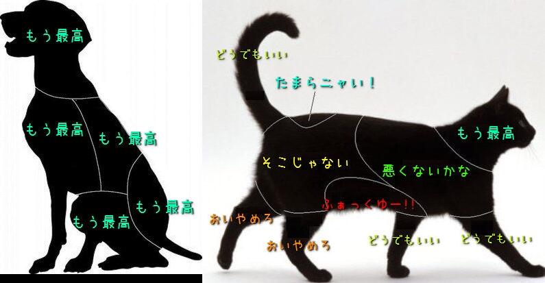 O Xrhsths にゃあ Sto Twitter ひと目でわかる 犬と猫がさわると喜ぶ場所 喜ばない場所 Http T Co Gddnudyt0h Twitter