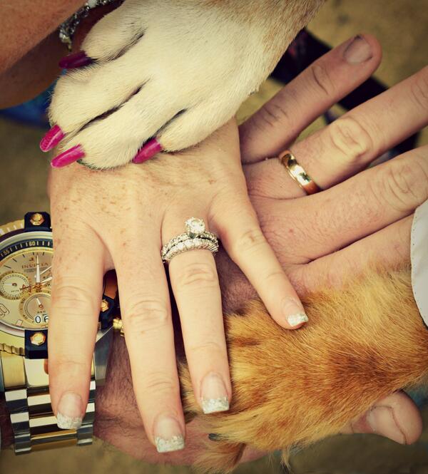 I love when couples include their pets in their wedding ceremony! #petsarefamilytoo #bondedforever #truelove