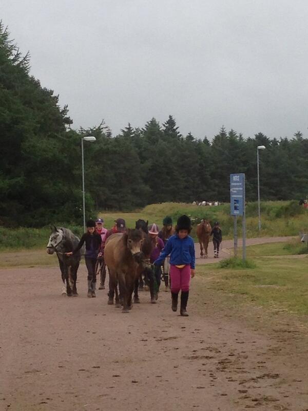 ScottishEqui's tweet photo. Monday morning and a new batch of #kids in for their #horseriding #holiday, bringing their #ponies in from the field http://t.co/TpTHTdyLPq