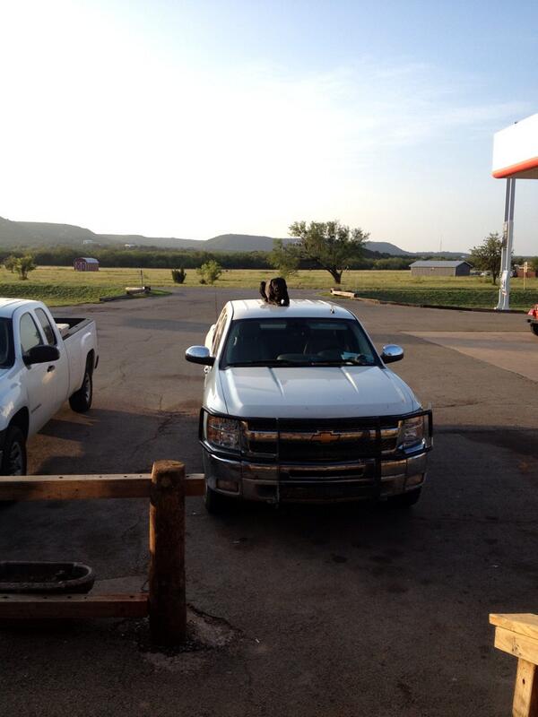 Man what a beautiful morning!