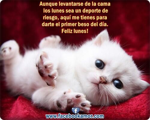 Lunes, a empezar fuerte http://t.co/Vzz5Y4G8Rx<a href="/tag/avn"class="tags"><span>#avn</span></a>