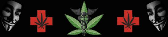 anoneastcan's tweet photo. G'Day - #OpCannabis - #Anonymous http://t.co/4IIOsVBXPA