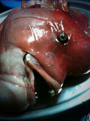 니엘이 화났다 건들지 마라