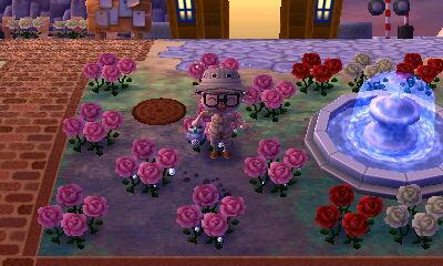 jamesmegu116's tweet photo. #ACNL http://t.co/coKu81yYCK