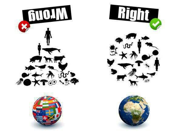 carlosdecoro's tweet photo. ¿Es correcto el lugar que creemos ocupar en el planeta? http://t.co/UTMDPDG2tS