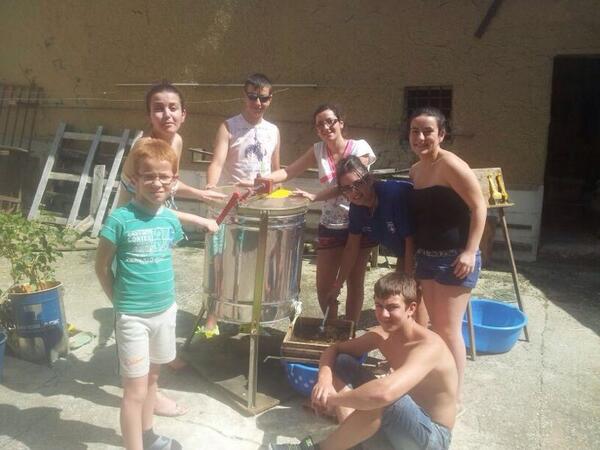 bettysinmas's tweet photo. Ste año los nietos sacan la miel  @martavzd @BlancaCondeM @carmenvzd @rakel9614 @ramonVzD @jorge_vzd y Miguel http://t.co/Wb4iMb0mNe