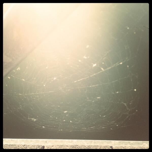 trystan1991's tweet photo. Spiderweb, smallvacation, lotsofun http://t.co/CdSC8jNIPS