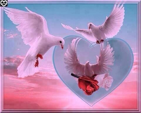 ghjj298's tweet photo. http://t.co/UbaMrbxNlW