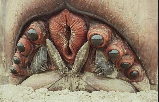 vandammemullet's tweet image. @stoya I envision it looking like #brainbug