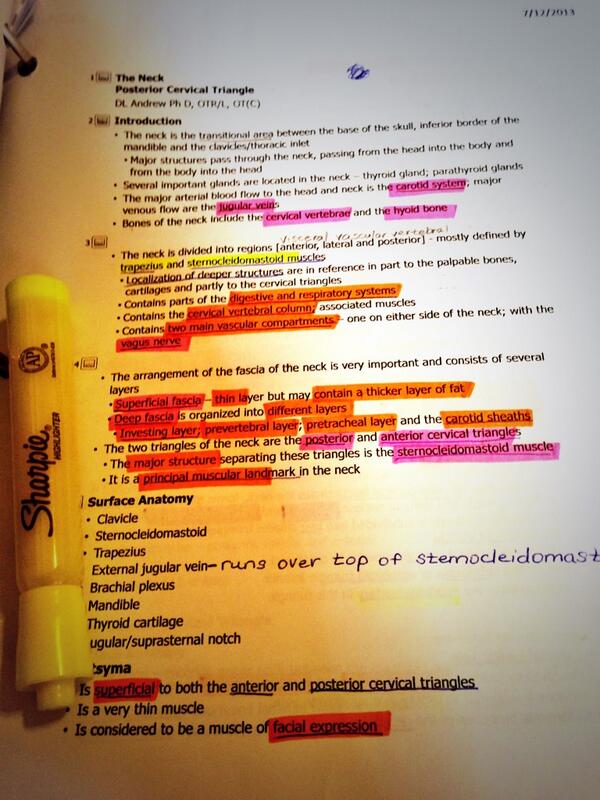 JuanCobbler's tweet image. Doing the most illegal thing ever on my 21st birthday #StudyingAnatomy #PTschoolProblems