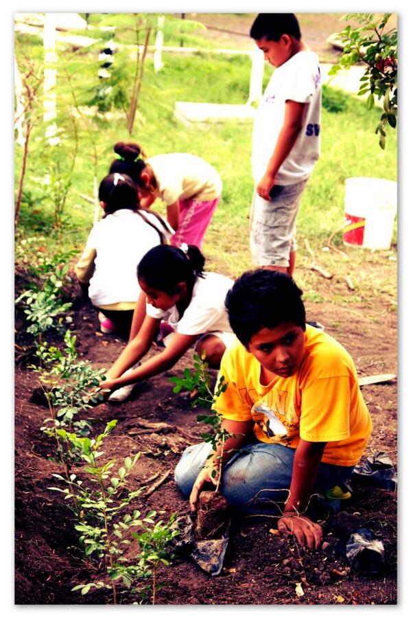 SemarnatSLP's tweet photo. Alumnos de educación básica en San Ciro de Acosta, #SLP se suman a la labor de #Reforestación en su escuela. http://t.co/Fifx1n15uU