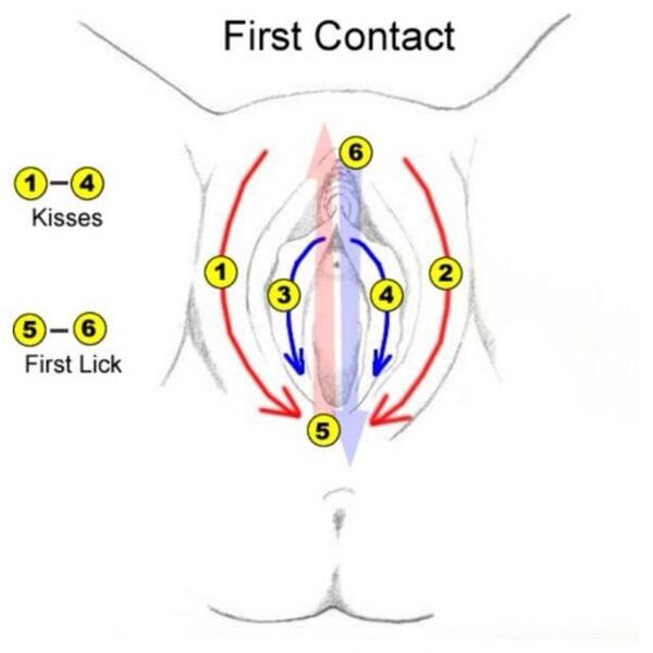What Is Ass In Spanish Diagram Of The Pussy