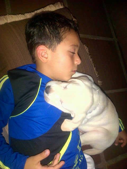 Es un amor!! Bellos Miguelito el travieso y su Zeus :*