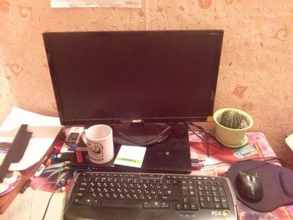 CryptoNEED tweet media