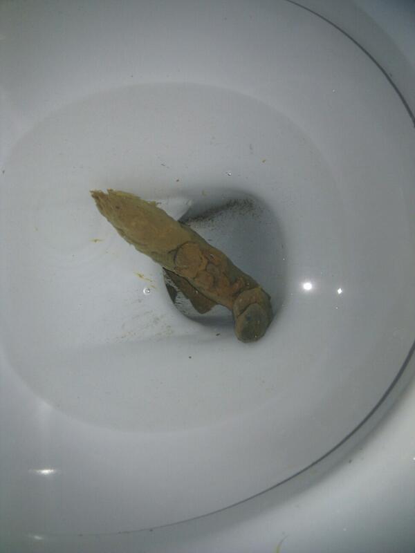 ViewMyPoo's tweet photo. Check out the long Jon silver of poops... http://t.co/zuQtWZwRnC